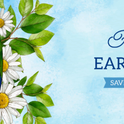 Международният ден на Земята - отговорност и иновации в областта на климатичната техника