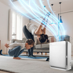 Въздухопречиствател Mitsubishi Electric MA-E85R-E